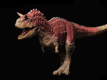 Ceratosaurus dentisulcatus 