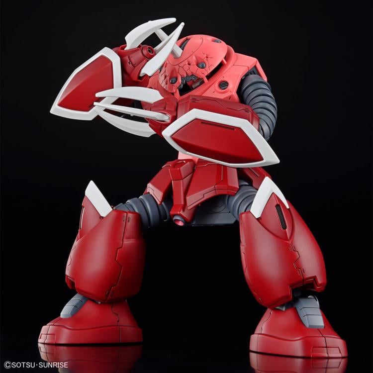 Mobile Suit Gundam SEED Freedom HGCE ZGMF-MM07 Z'Gok 1/144 Scale