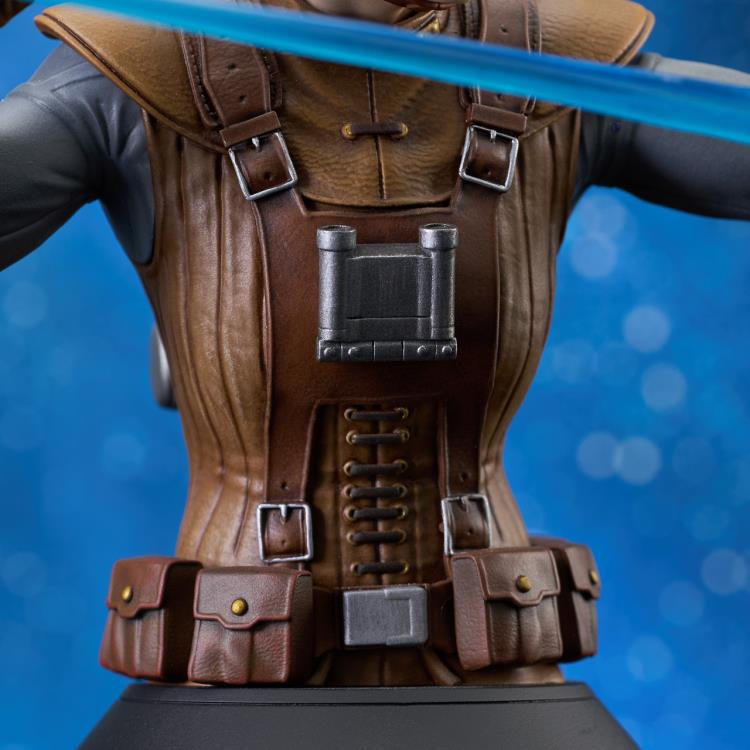 Star Wars Starkiller (Concept) 1/6 Scale Limited Edition Exclusive Bust Gallery Image 13
