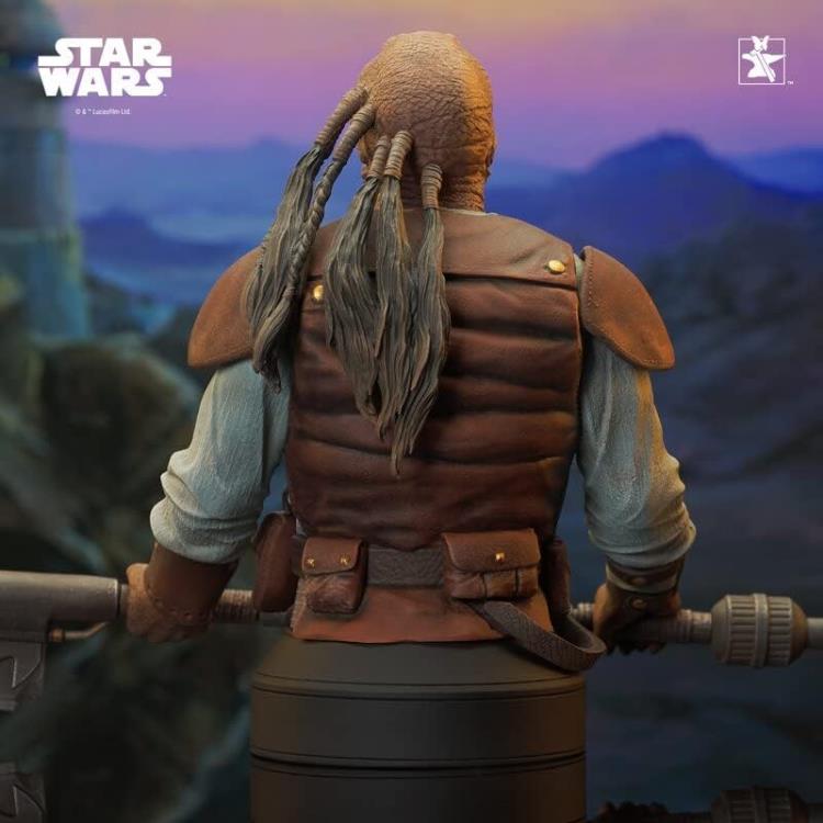 Star Wars: Return of the Jedi Pagetti Rook 1/6 Scale Limited Edition Exclusive Bust Gallery Image 7