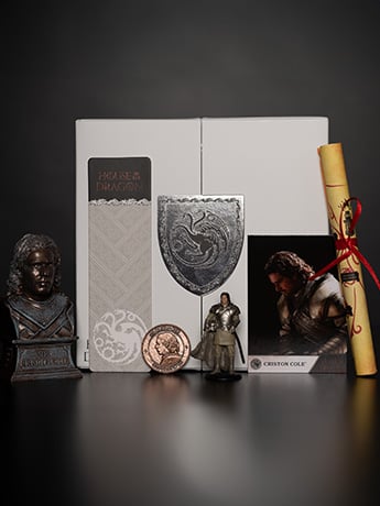 House of the Dragon Ser Criston Cole Collector Box Gallery Image 2