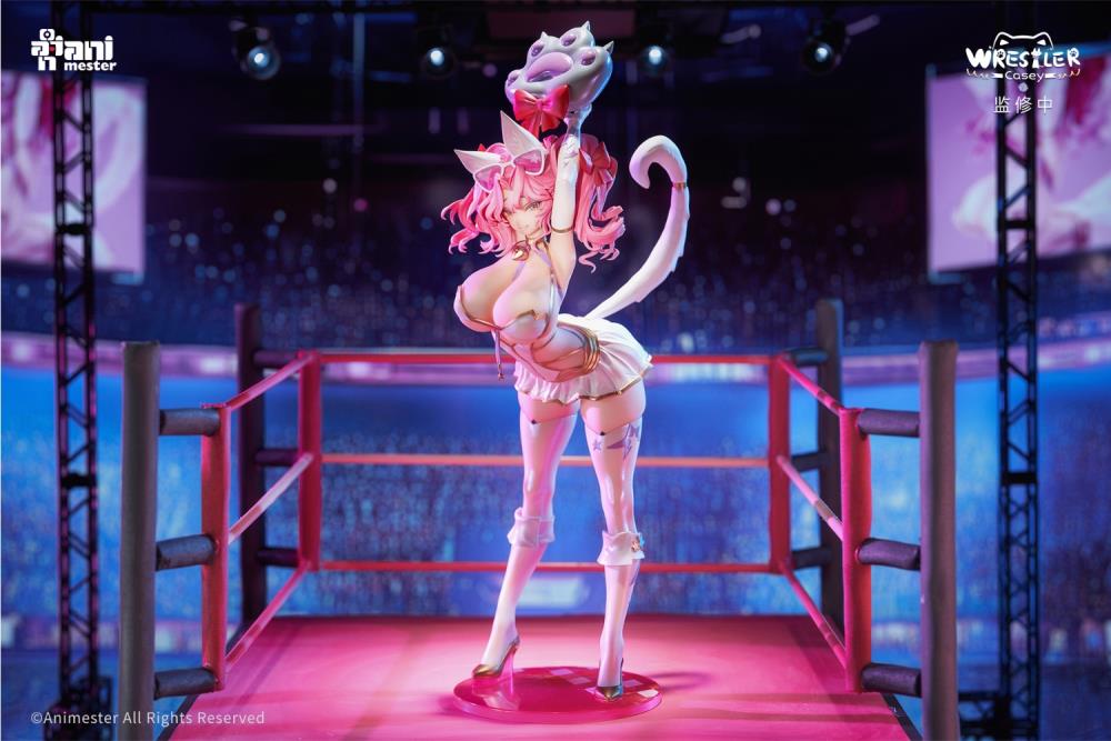 Wrestler Casey 1/6 Scale Figure Gallery Image 3