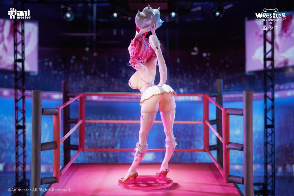 Wrestler Casey 1/6 Scale Figure Gallery Image 4