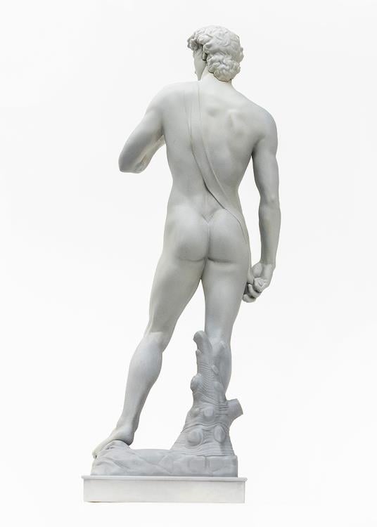 Michelangelo's David 1/35 Scale Model Kit Gallery Image 4
