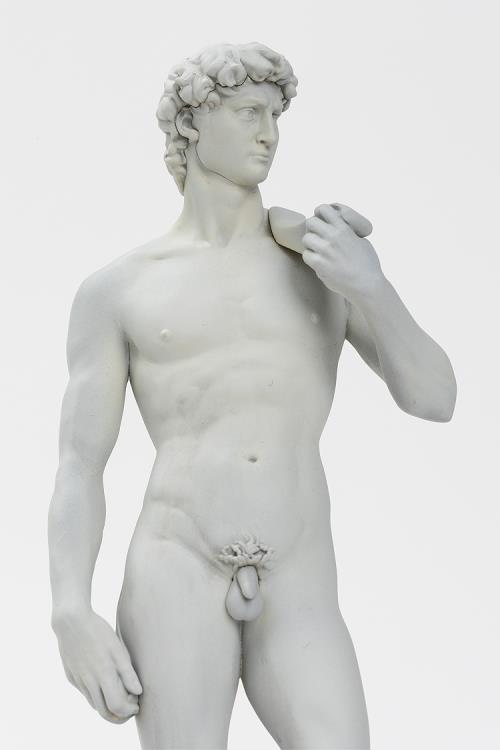 Michelangelo's David 1/35 Scale Model Kit Gallery Image 5
