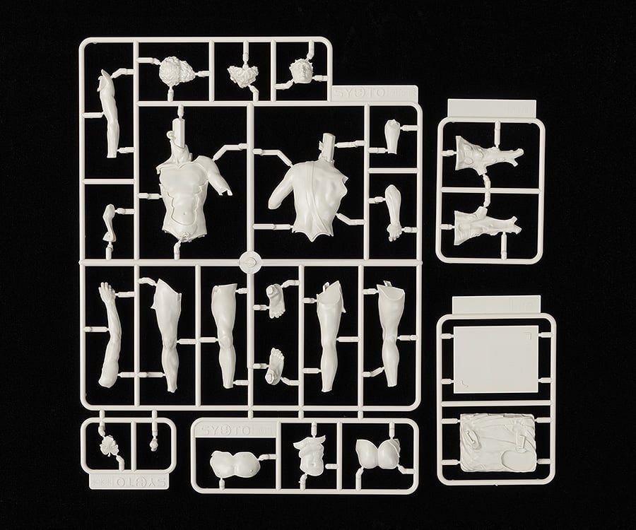 Michelangelo's David 1/35 Scale Model Kit Gallery Image 9