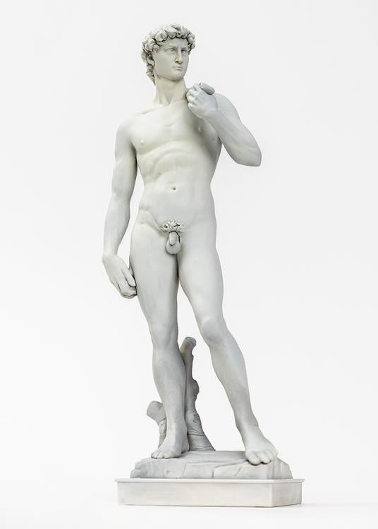 Michelangelo's David 1/35 Scale Model Kit Gallery Image 3