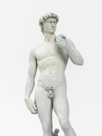 Michelangelo's David 1/35 Scale Model Kit Gallery Image 2