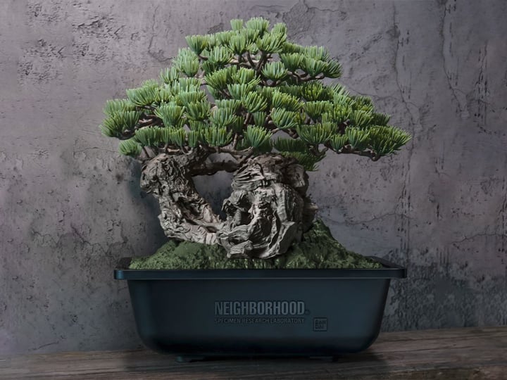 NEIGHBORHOOD SRL x Bandai Spirits Bonsai Model Kit