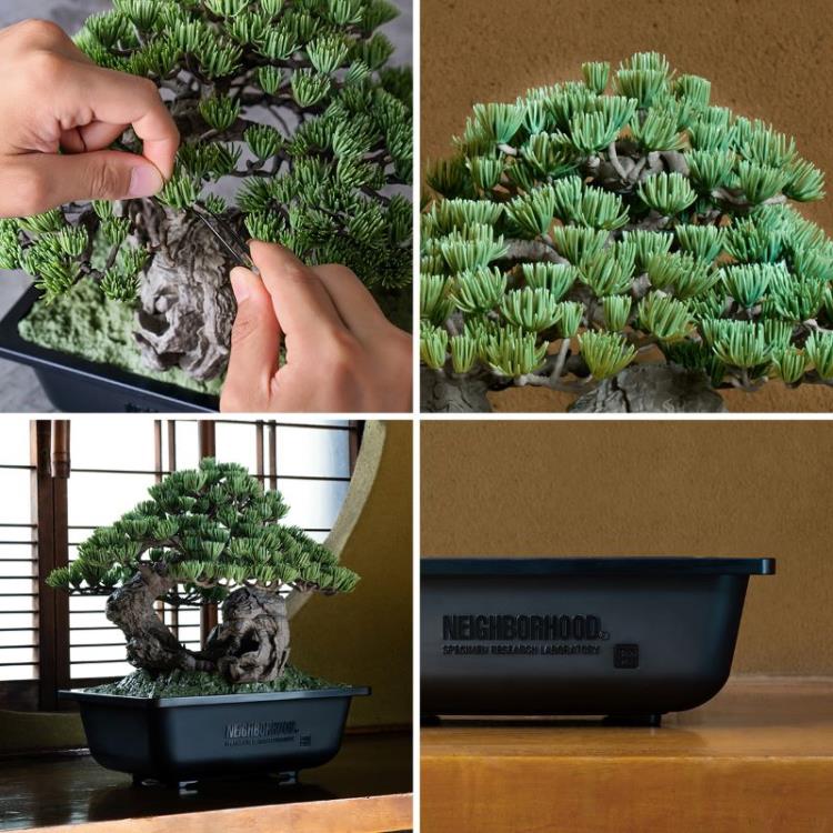 NEIGHBORHOOD SRL x Bandai Spirits Bonsai Model Kit
