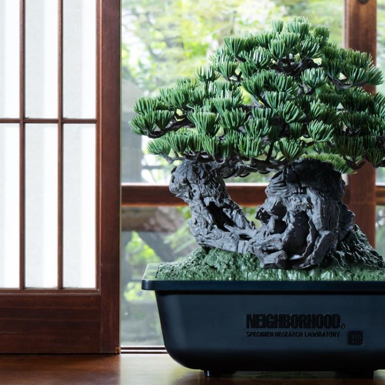 NEIGHBORHOOD SRL X BONSAI MODEL KIT 盆栽 NEIGHBORHOOD SRL x Bandai Spirits Bonsai Model Kit