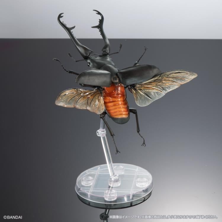 JUNGLE LIFE OMNIBUS SERIES1ヒダカトオルよろず屋爆裂研 The Diversity of Life on Earth Giraffe Stag Beetle & Mandibular