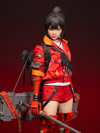 hikarukin: 1/6 カスタムフィギャア　未来ハーフ機械人 Girls' Revolution Hikaru (Collector's Edition) 1/6 Scale Figure
