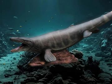Wonders of the Wild Mosasaurus Statue