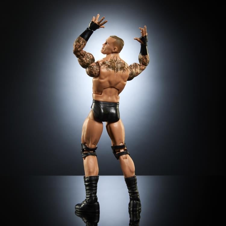 WWE Elite Collection Series 116 Randy Orton Gallery Image 4