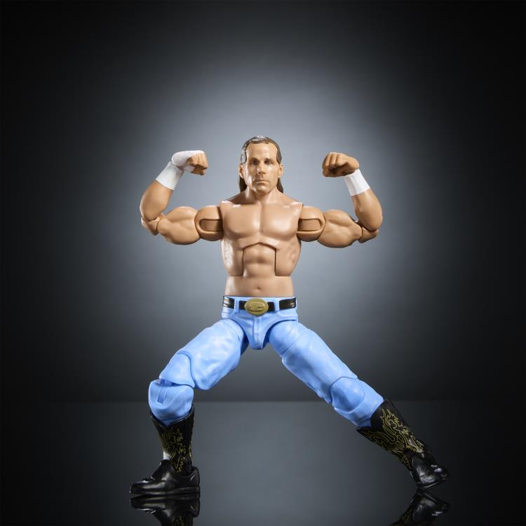 WWE Elite Collection SummerSlam Shawn Michaels (William Regal BAF) Gallery Image 5