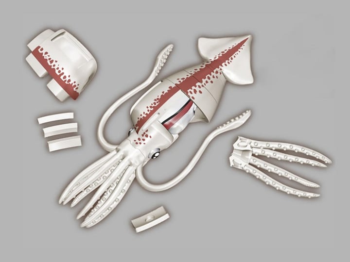 Giant Squid Kaitai Puzzle Gallery Image 1