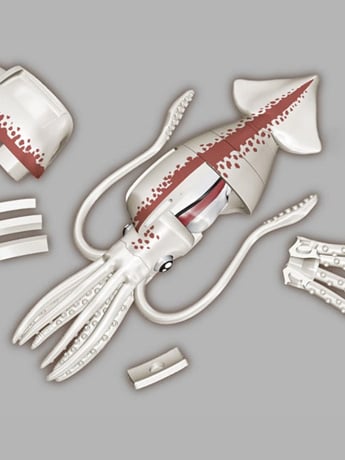Giant Squid Kaitai Puzzle Gallery Image 2