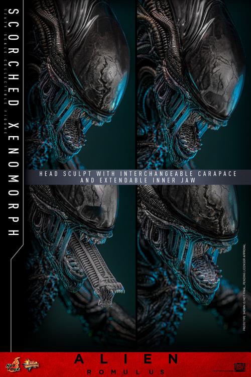 Alien: Romulus MMS784 Scorched Xenomorph 1/6th Scale Collectible Figure Gallery Image 15