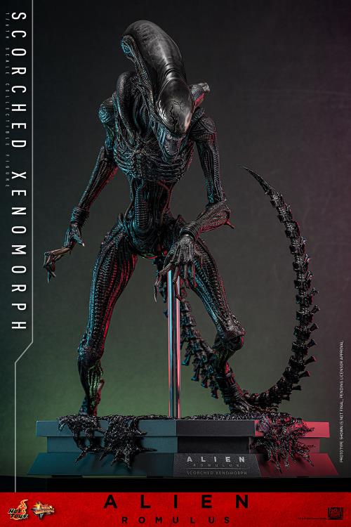 Alien: Romulus MMS784 Scorched Xenomorph 1/6th Scale Collectible Figure Gallery Image 6
