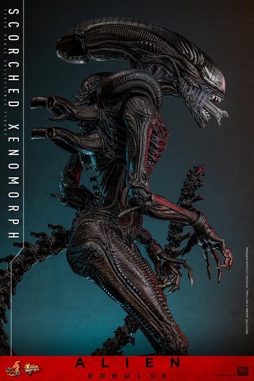 Alien: Romulus MMS784 Scorched Xenomorph 1/6th Scale Collectible Figure Gallery Image 14