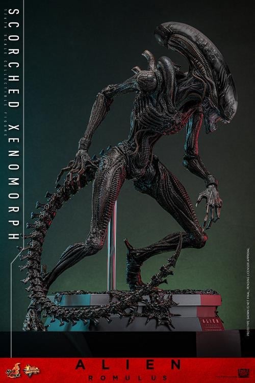 Alien: Romulus MMS784 Scorched Xenomorph 1/6th Scale Collectible Figure Gallery Image 7