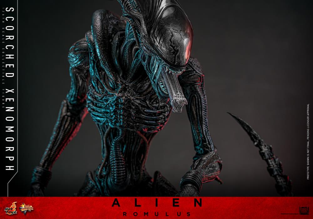 Alien: Romulus MMS784 Scorched Xenomorph 1/6th Scale Collectible Figure Gallery Image 13