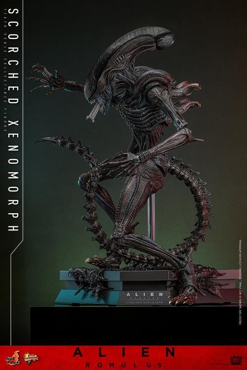 Alien: Romulus MMS784 Scorched Xenomorph 1/6th Scale Collectible Figure Gallery Image 8