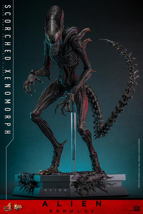 Alien: Romulus MMS784 Scorched Xenomorph 1/6th Scale Collectible Figure Gallery Image 4