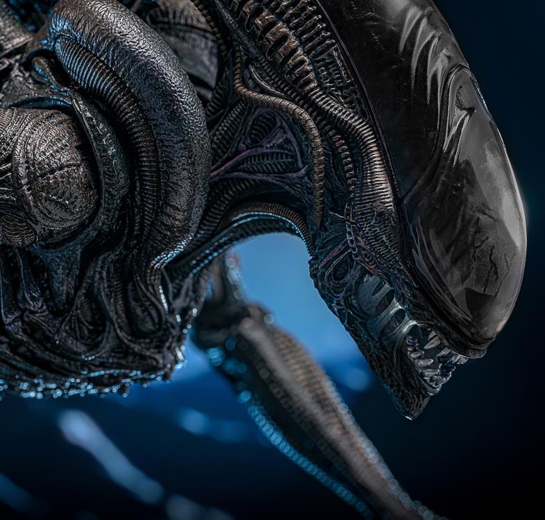 Alien: Romulus MMS784 Scorched Xenomorph 1/6th Scale Collectible Figure Gallery Image 17