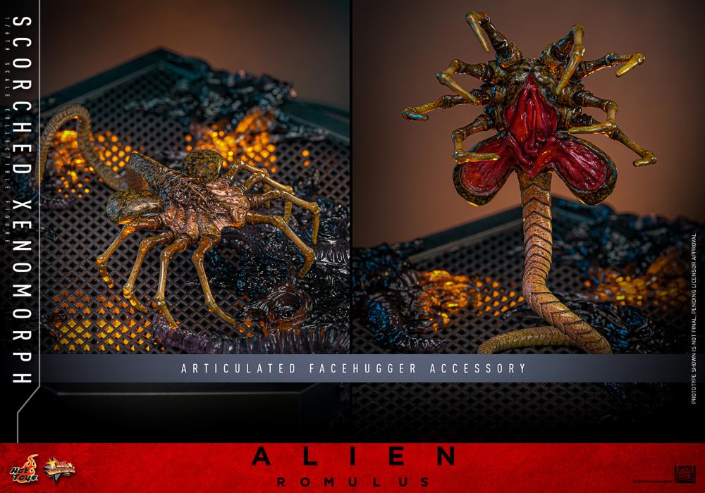 Alien: Romulus MMS784 Scorched Xenomorph 1/6th Scale Collectible Figure Gallery Image 20