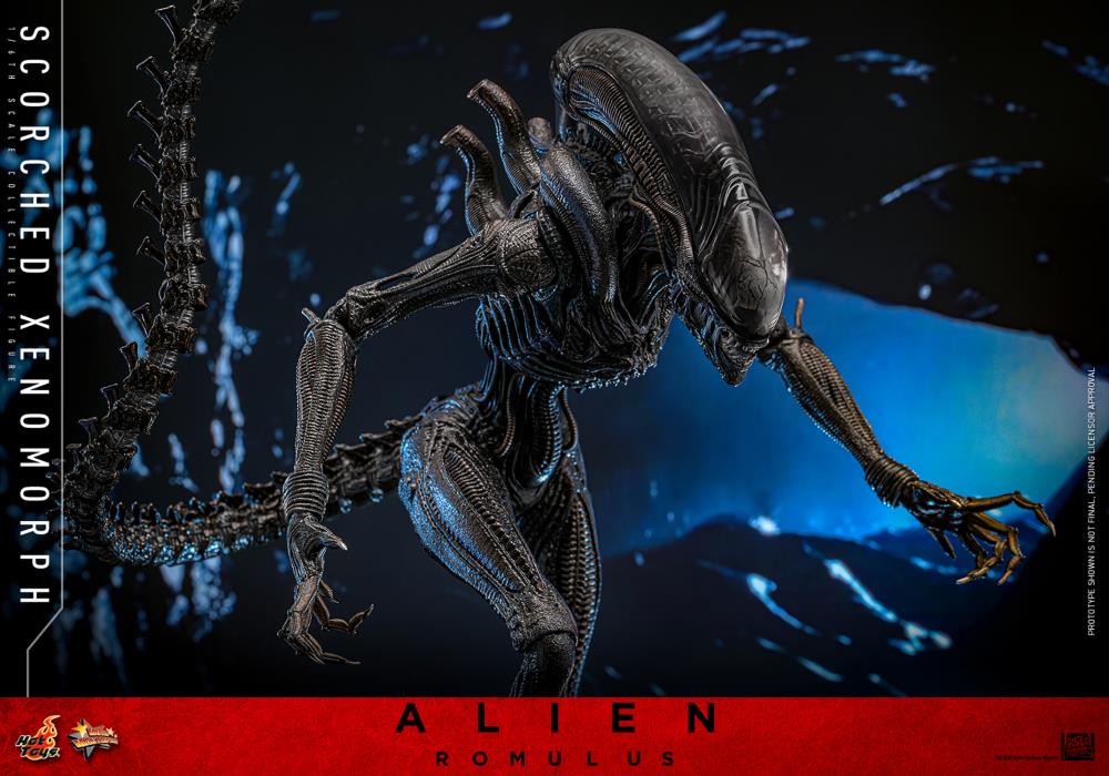Alien: Romulus MMS784 Scorched Xenomorph 1/6th Scale Collectible Figure Gallery Image 18