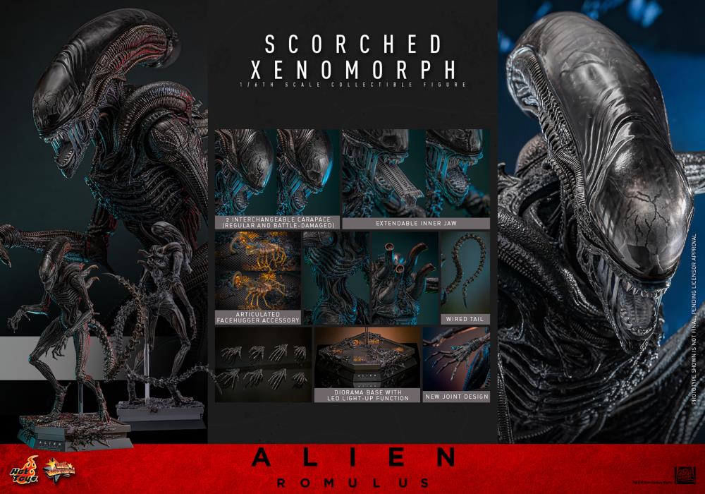 Alien: Romulus MMS784 Scorched Xenomorph 1/6th Scale Collectible Figure Gallery Image 22