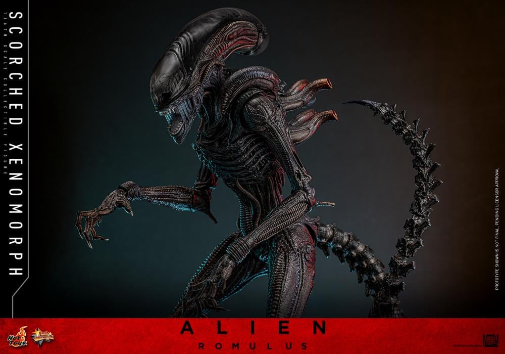 Alien: Romulus MMS784 Scorched Xenomorph 1/6th Scale Collectible Figure Gallery Image 12