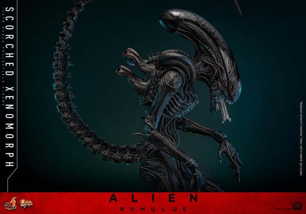 Alien: Romulus MMS784 Scorched Xenomorph 1/6th Scale Collectible Figure Gallery Image 9