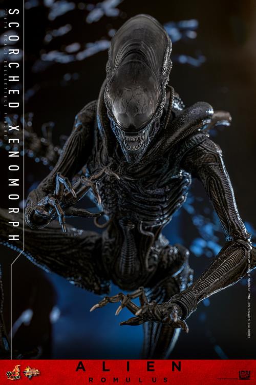 Alien: Romulus MMS784 Scorched Xenomorph 1/6th Scale Collectible Figure Gallery Image 16