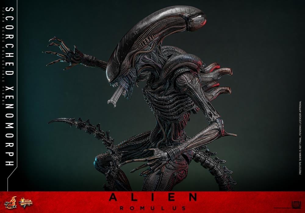 Alien: Romulus MMS784 Scorched Xenomorph 1/6th Scale Collectible Figure Gallery Image 11