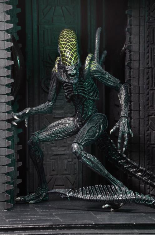 Alien vs. Predator Series 07 Grid Alien Figure