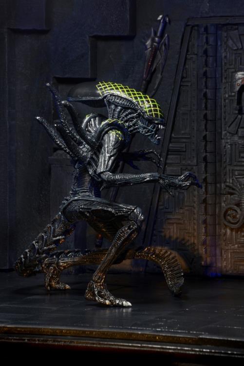 Alien vs. Predator Series 07 Grid Alien Figure