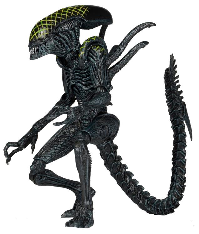 Alien vs. Predator Series 07 Grid Alien Figure