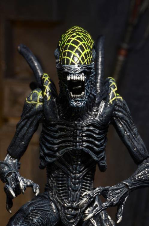 Alien vs. Predator Series 07 Grid Alien Figure