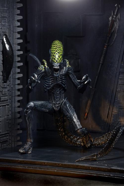 Alien vs. Predator Series 07 Grid Alien Figure