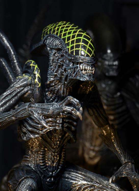 Alien vs. Predator Series 07 Grid Alien Figure