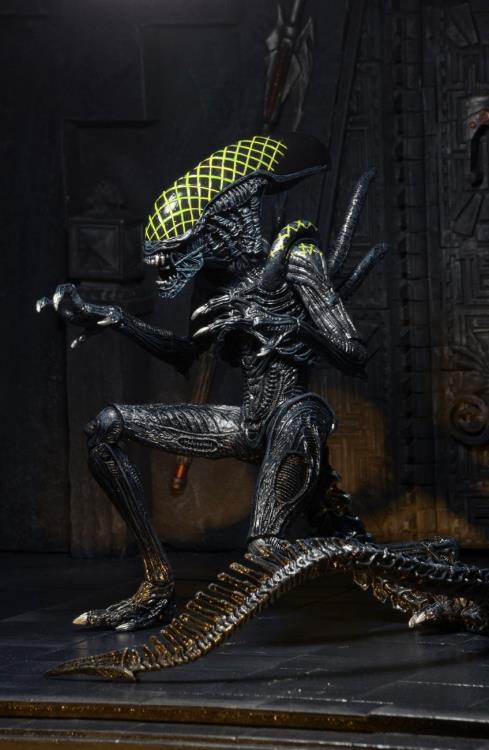 Alien vs. Predator Series 07 Grid Alien Figure
