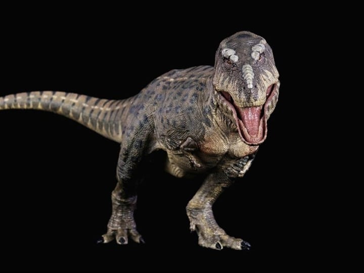 Tyrannosaurus Rex Kiss (Island Ver.) 1/35 Scale Replica Gallery Image 1