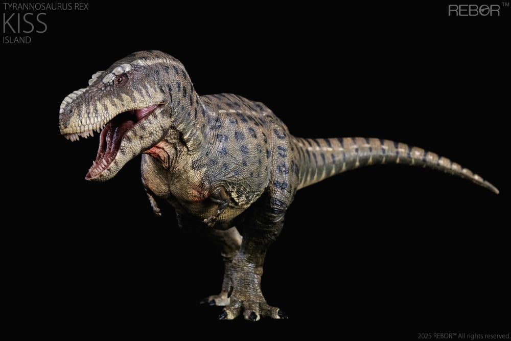 Tyrannosaurus Rex Kiss (Island Ver.) 1/35 Scale Replica Gallery Image 5
