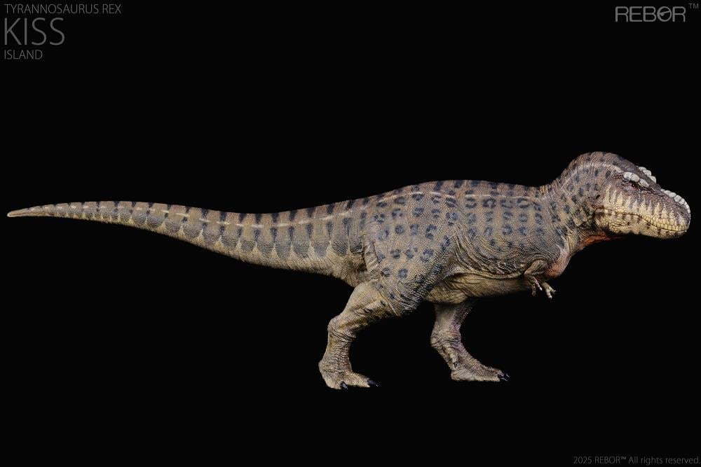 Tyrannosaurus Rex Kiss (Island Ver.) 1/35 Scale Replica Gallery Image 6