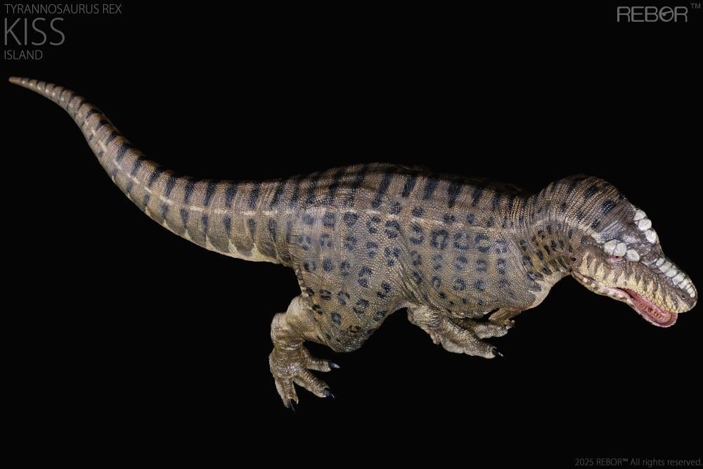 Tyrannosaurus Rex Kiss (Island Ver.) 1/35 Scale Replica Gallery Image 7