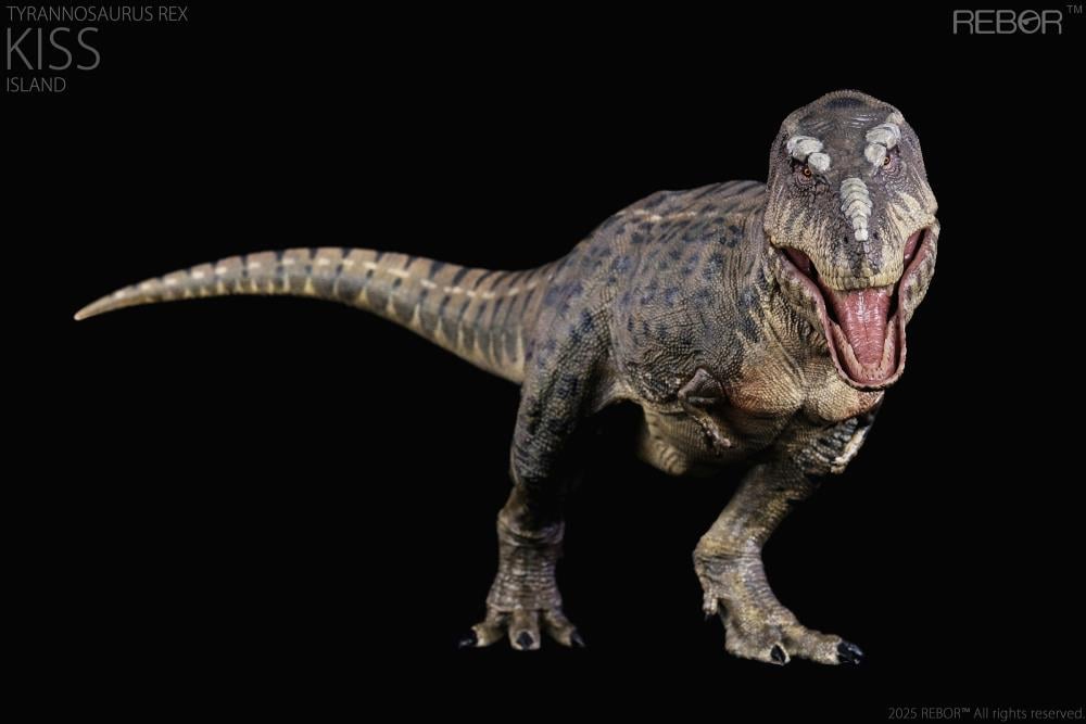 Tyrannosaurus Rex Kiss (Island Ver.) 1/35 Scale Replica Gallery Image 3