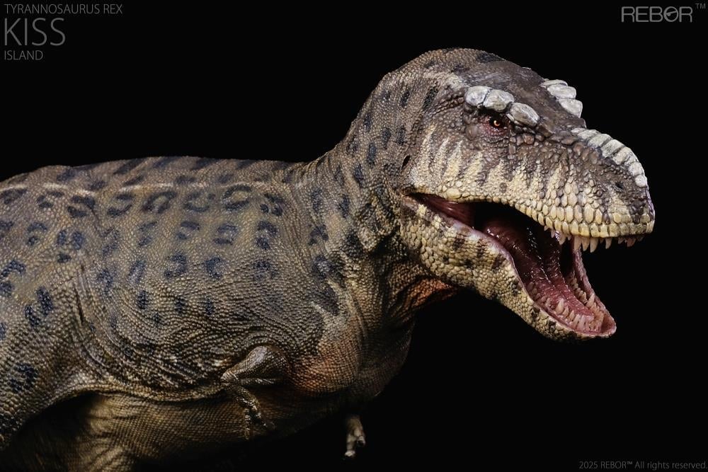 Tyrannosaurus Rex Kiss (Island Ver.) 1/35 Scale Replica Gallery Image 8